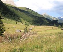 IMG_6925